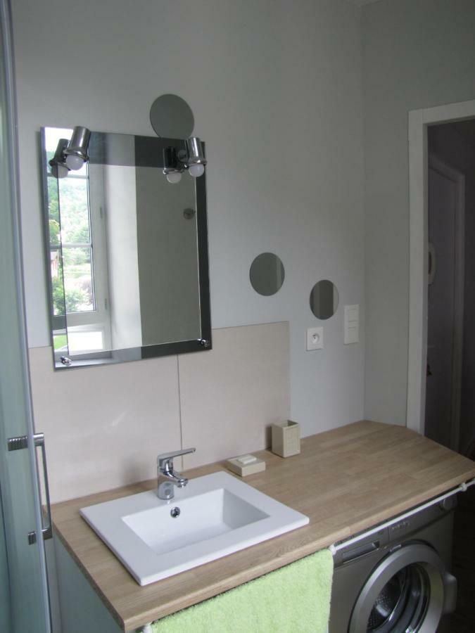 Appartement De Charme A La Montagne 阿克斯莱泰尔姆 外观 照片